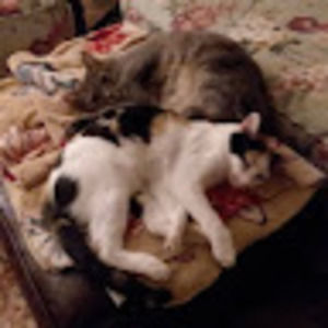 Meet your Posher, Sandi